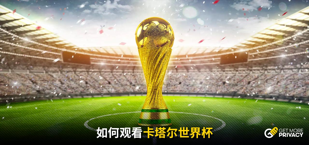 我国幼狮队